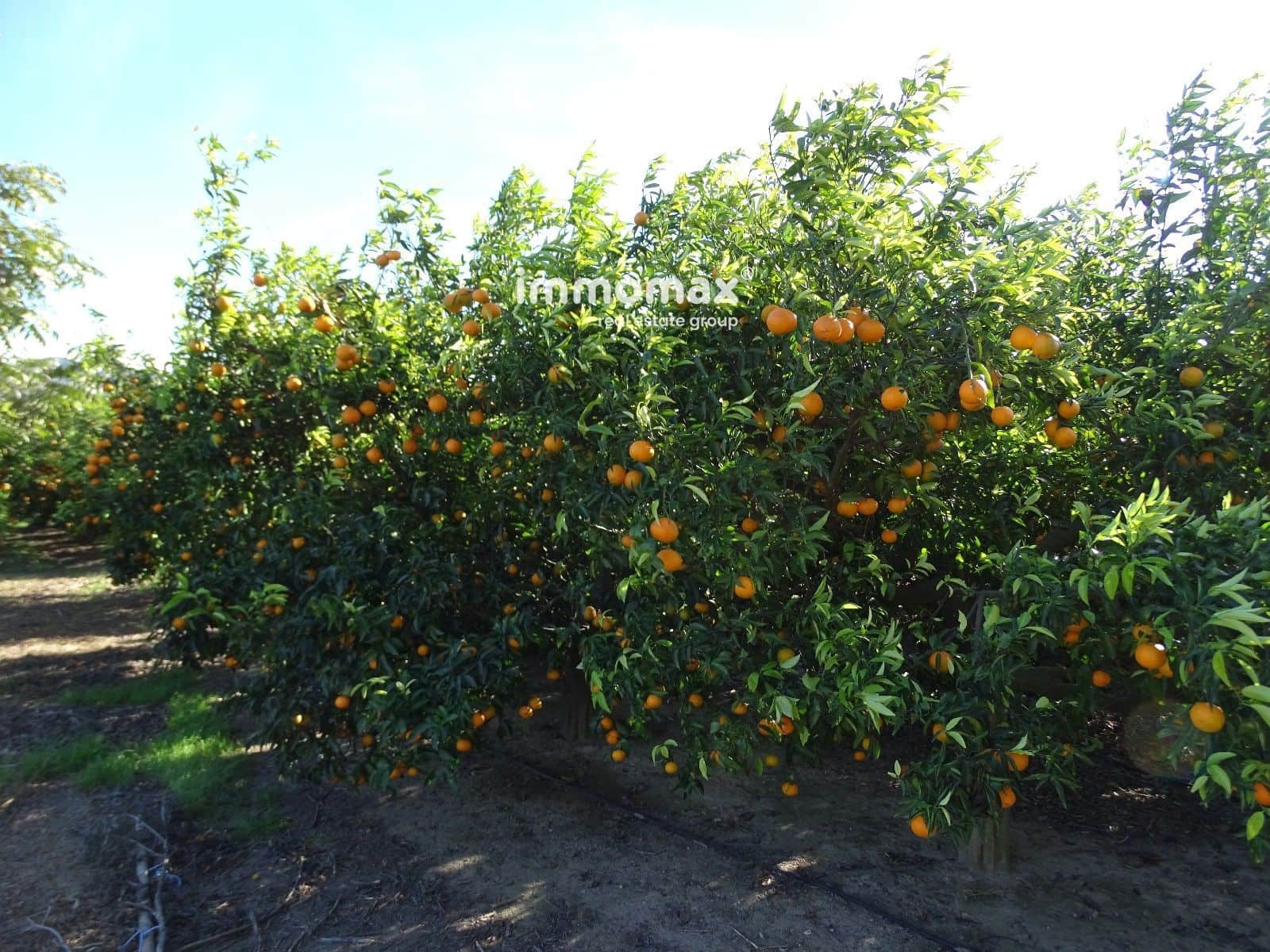 1 soveværelse Villa til salg i Bitem med swimmingpool - € 126.000 (Ref: 8174221)