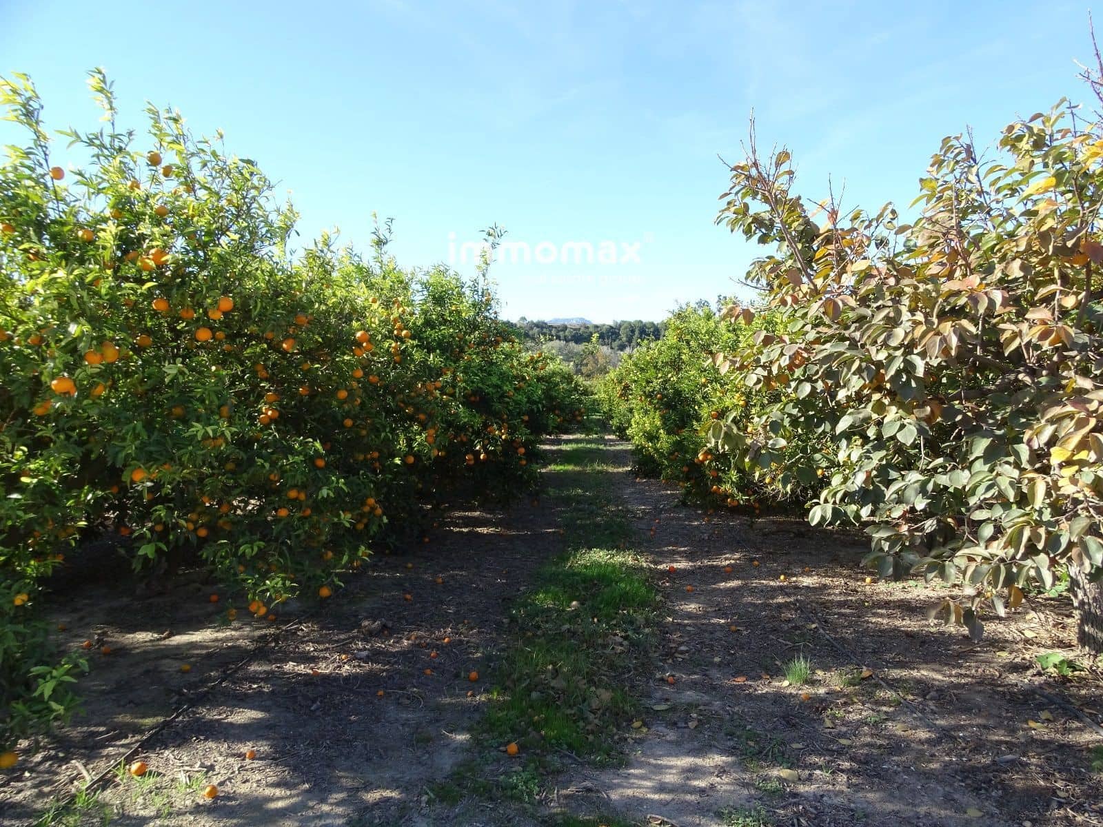 1 soveværelse Villa til salg i Bitem med swimmingpool - € 126.000 (Ref: 8174221)