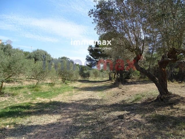 Grunde uden byggetilladelser til salg i Tortosa - € 23.000 (Ref: 8200569)