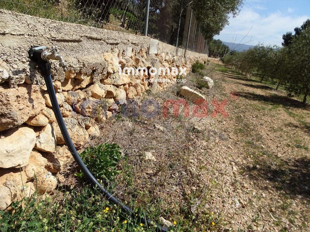 Grunde uden byggetilladelser til salg i Tortosa - € 23.000 (Ref: 8200569)