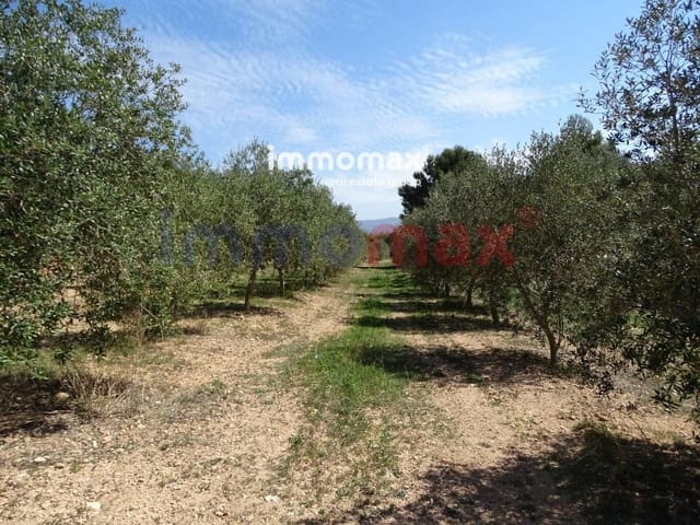 Grunde uden byggetilladelser til salg i Tortosa - € 23.000 (Ref: 8200569)