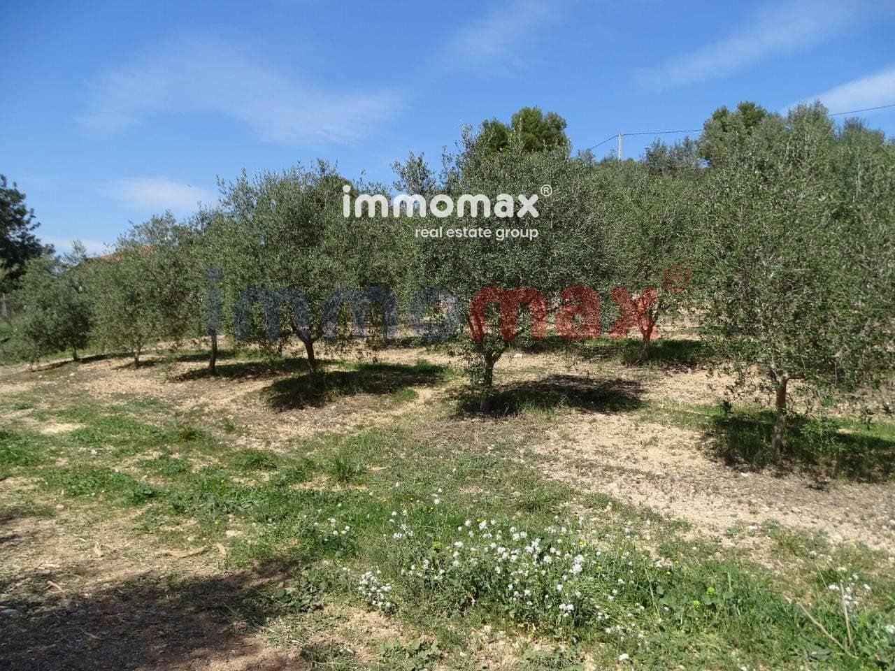 Grunde uden byggetilladelser til salg i Tortosa - € 23.000 (Ref: 8200569)