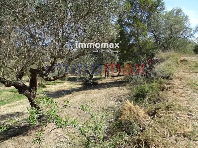 Grunde uden byggetilladelser til salg i Tortosa - € 23.000 (Ref: 8200569)