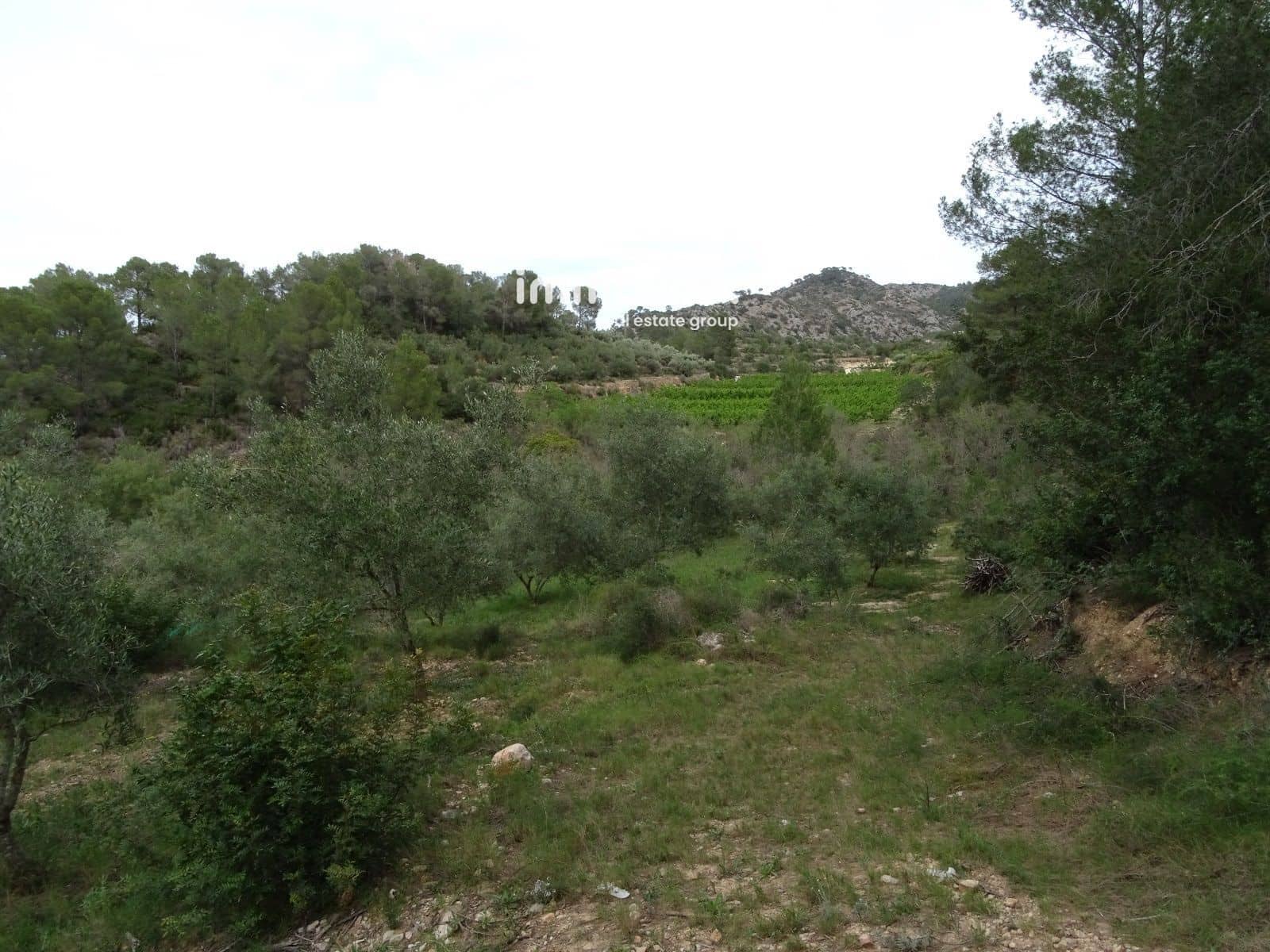 Grunde uden byggetilladelser til salg i Benifallet - € 57.000 (Ref: 8223351)