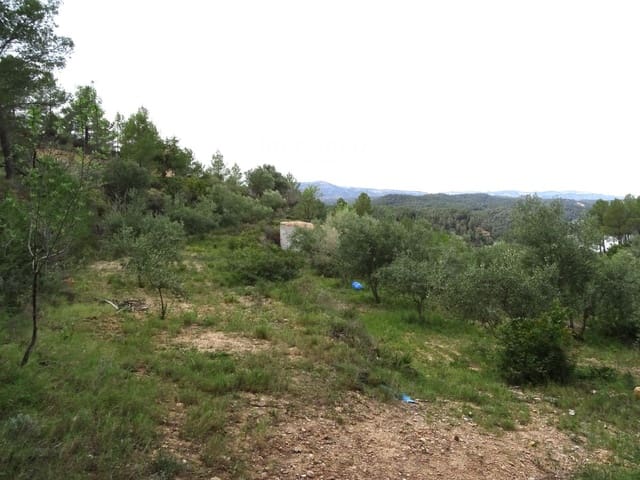 Undeveloped Land for sale in Benifallet - € 57,000 (Ref: 8223351)
