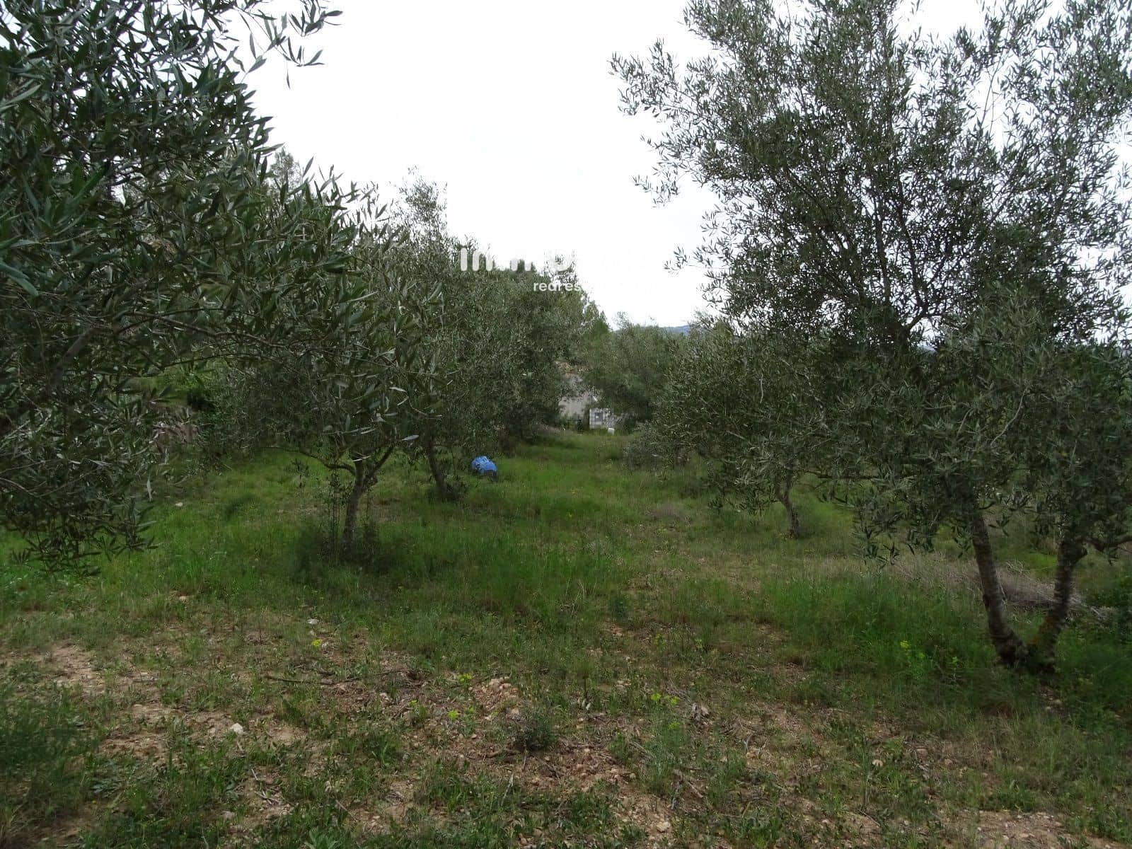 Grunde uden byggetilladelser til salg i Benifallet - € 57.000 (Ref: 8223351)