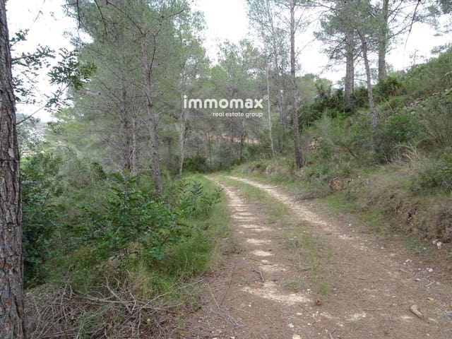 Undeveloped Land for sale in Benifallet - € 57,000 (Ref: 8223351)