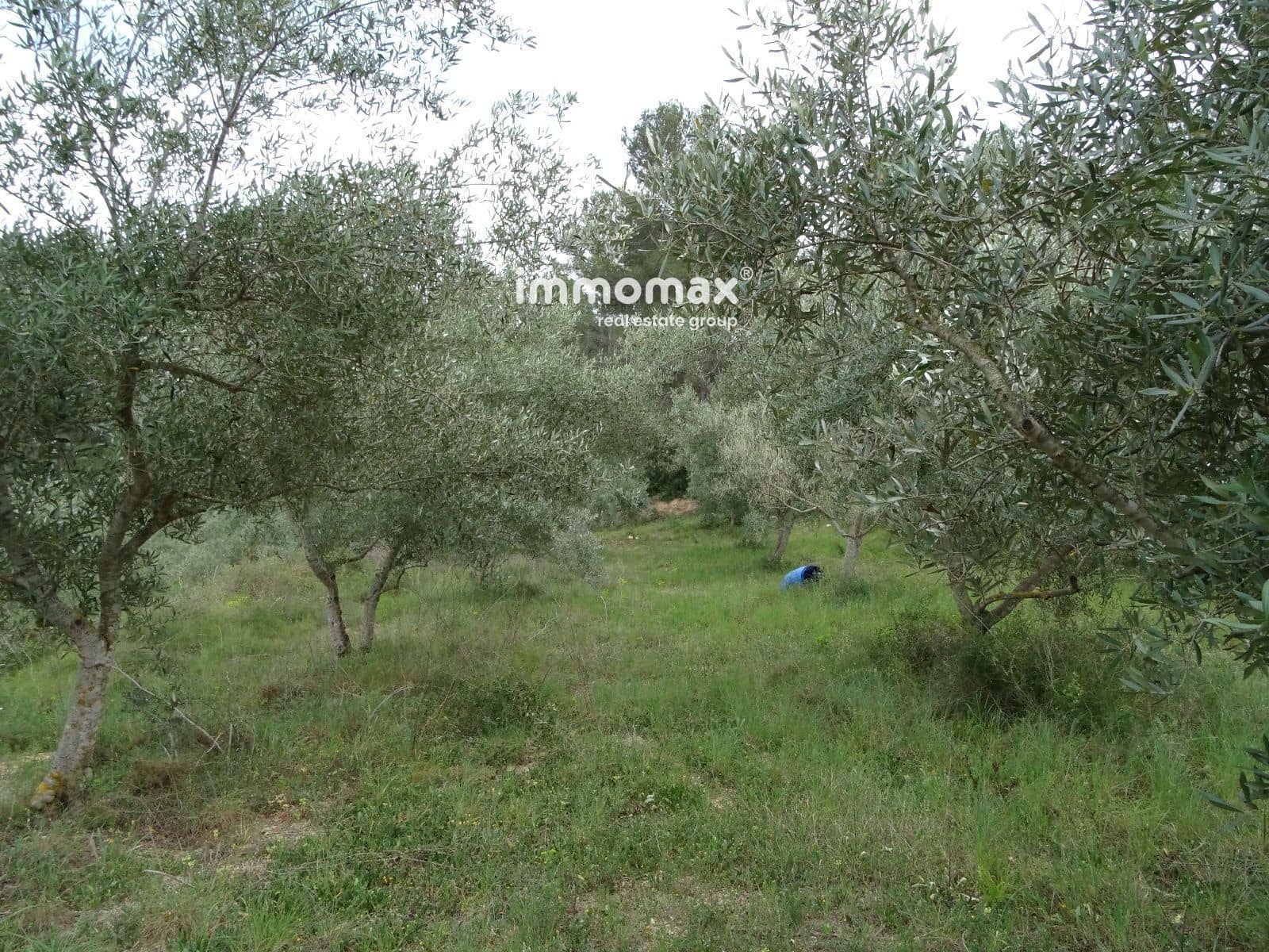 Grunde uden byggetilladelser til salg i Benifallet - € 57.000 (Ref: 8223351)