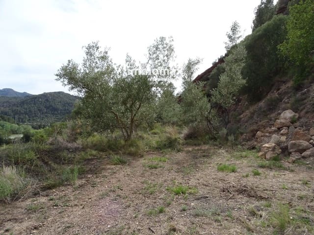 Undeveloped Land for sale in Benifallet - € 41,000 (Ref: 8240329)