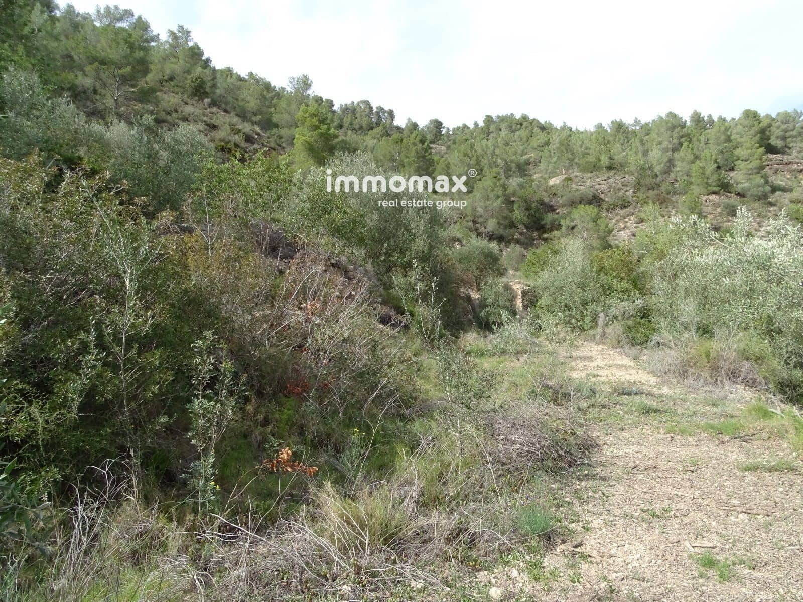 Grunde uden byggetilladelser til salg i Benifallet - € 41.000 (Ref: 8240329)