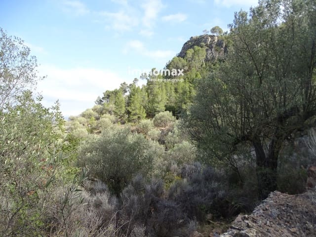 Building Plot for sale in Paüls - € 28,000 (Ref: 8245785)