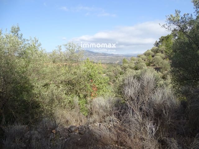 Building Plot for sale in Paüls - € 28,000 (Ref: 8245785)