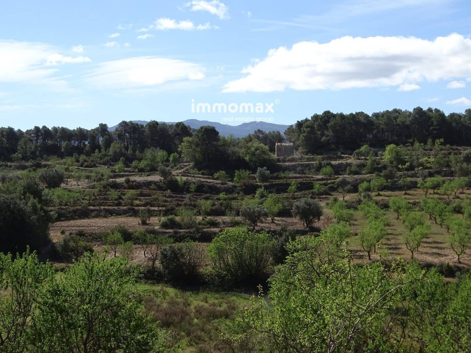 Byggegrund til salg i Horta de Sant Joan - € 36.000 (Ref: 8246019)