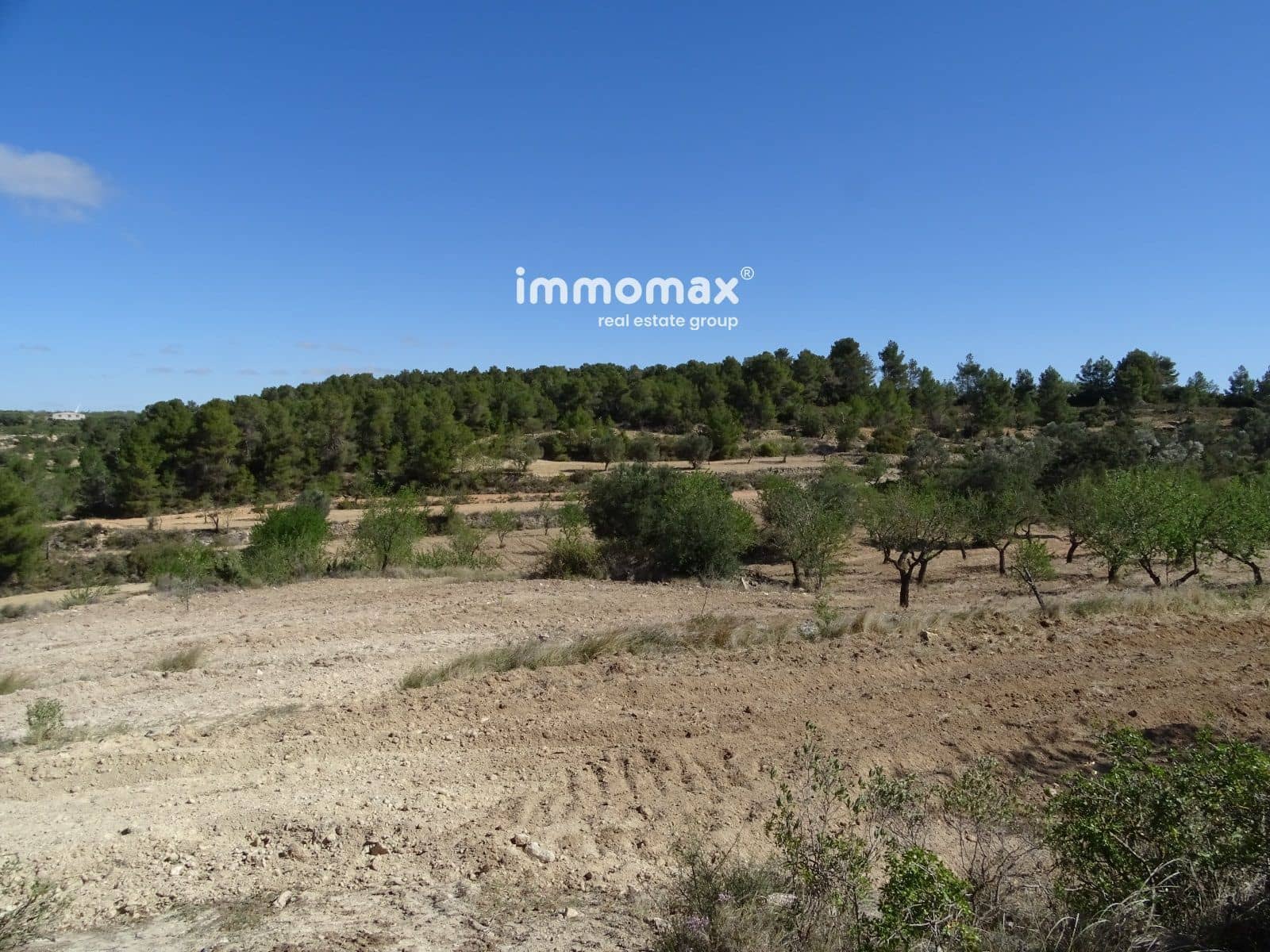 Byggegrund til salg i Horta de Sant Joan - € 36.000 (Ref: 8246019)