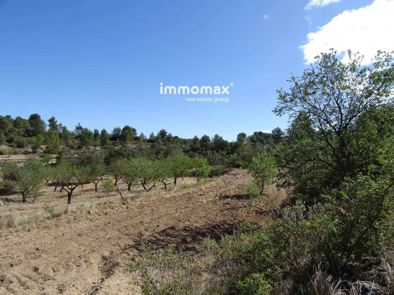 Byggegrund til salg i Horta de Sant Joan - € 36.000 (Ref: 8246019)