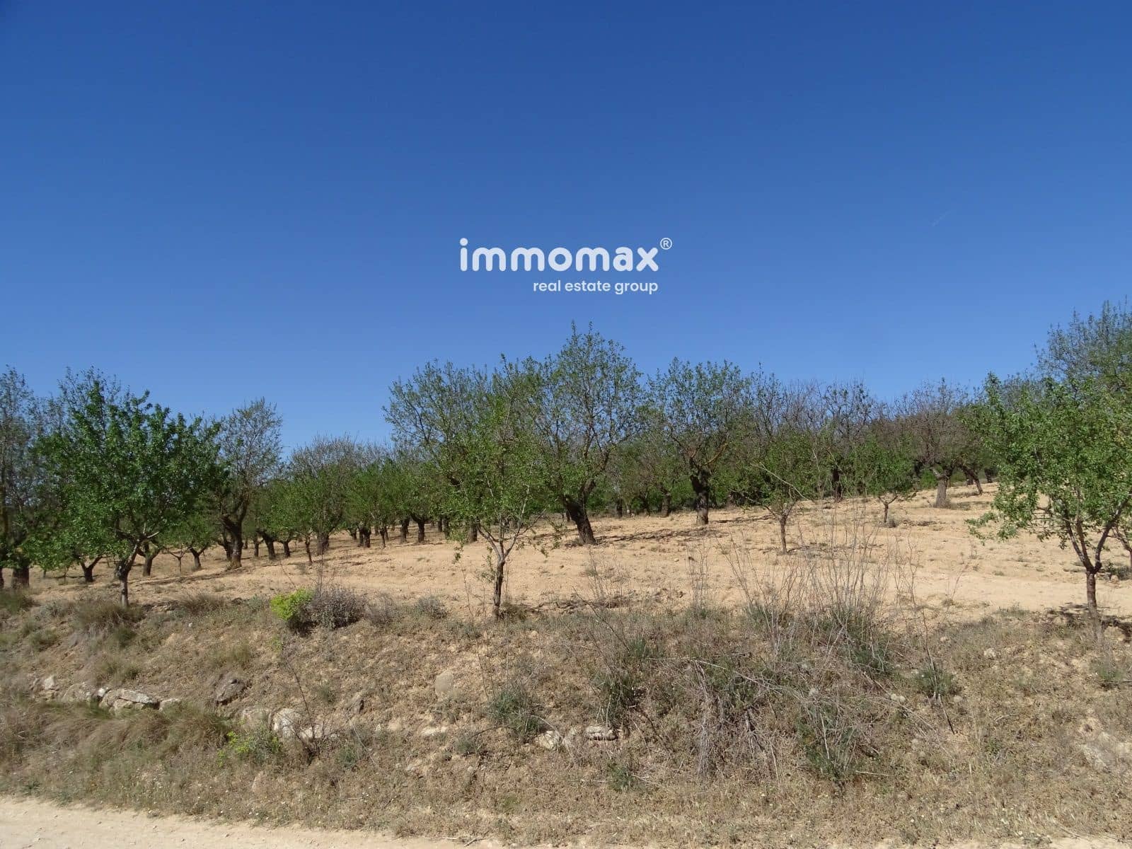 Byggegrund til salg i Arnes - € 26.000 (Ref: 8252535)