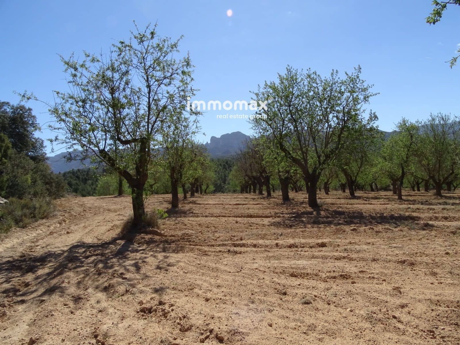 Byggegrund til salg i Arnes - € 26.000 (Ref: 8252535)