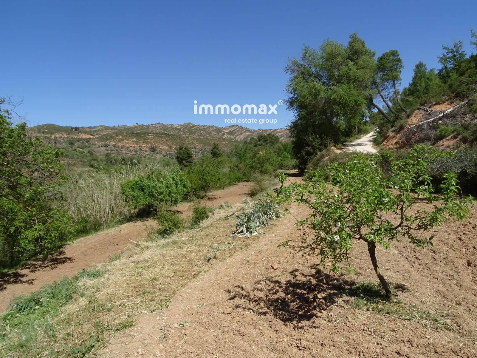 Grunde uden byggetilladelser til salg i Horta de Sant Joan - € 26.000 (Ref: 8321420)