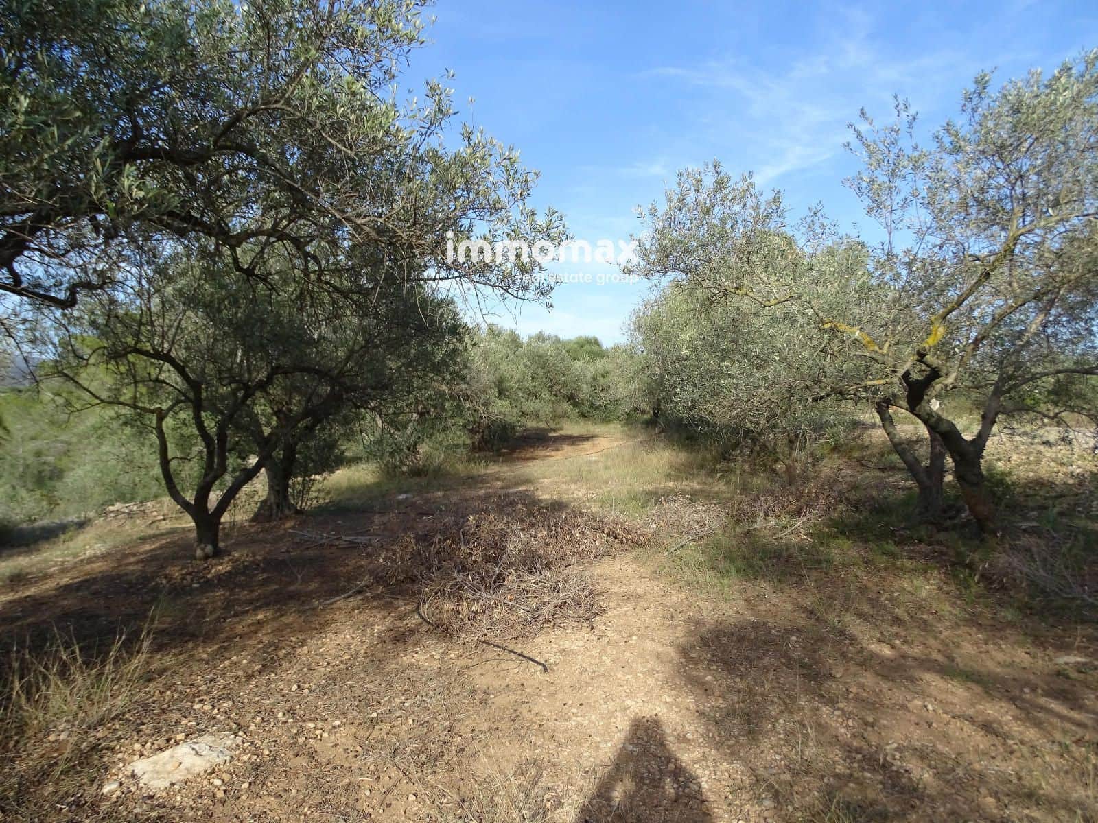 Ubebygd land til salgs i Tivenys - € 10 500 (Ref: 8431323)
