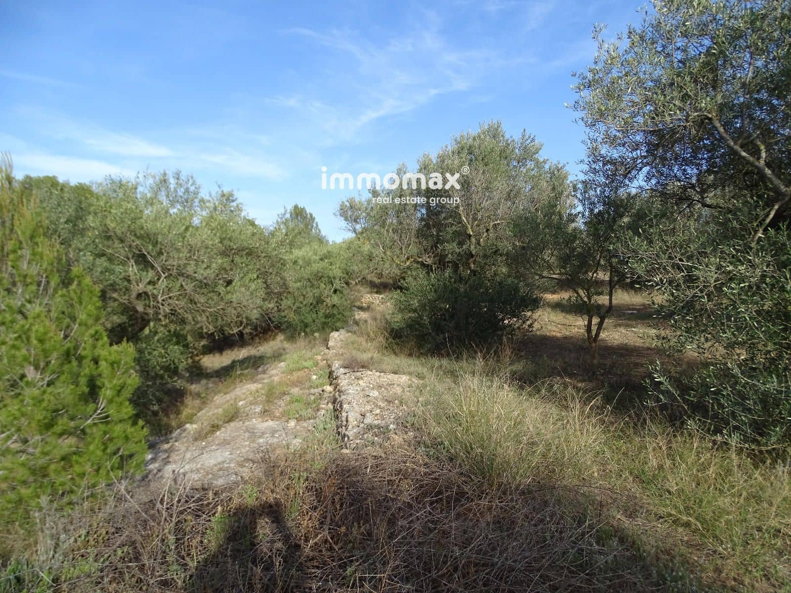 Ubebygd land til salgs i Tivenys - € 10 500 (Ref: 8431323)