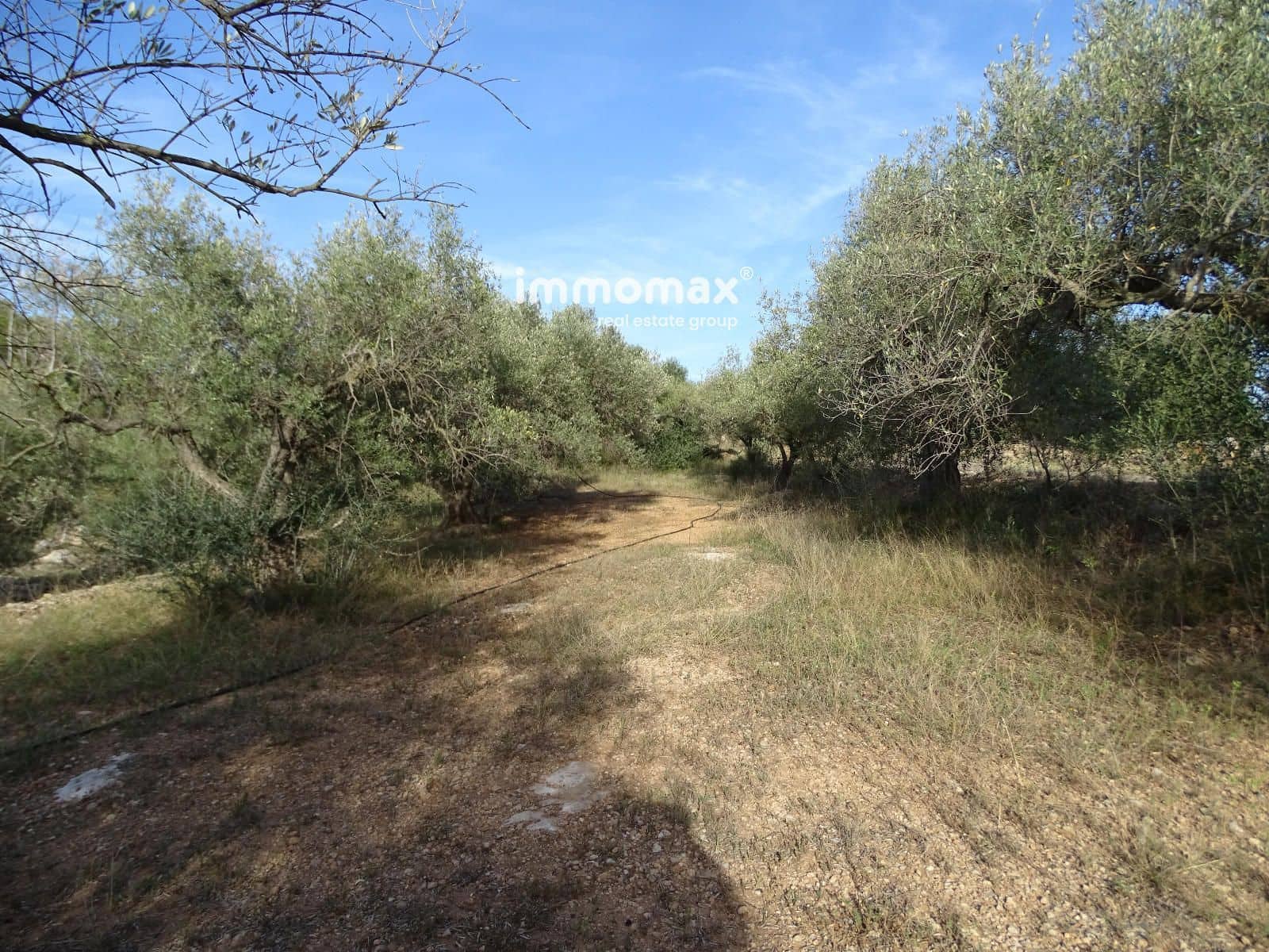 Ubebygd land til salgs i Tivenys - € 10 500 (Ref: 8431323)