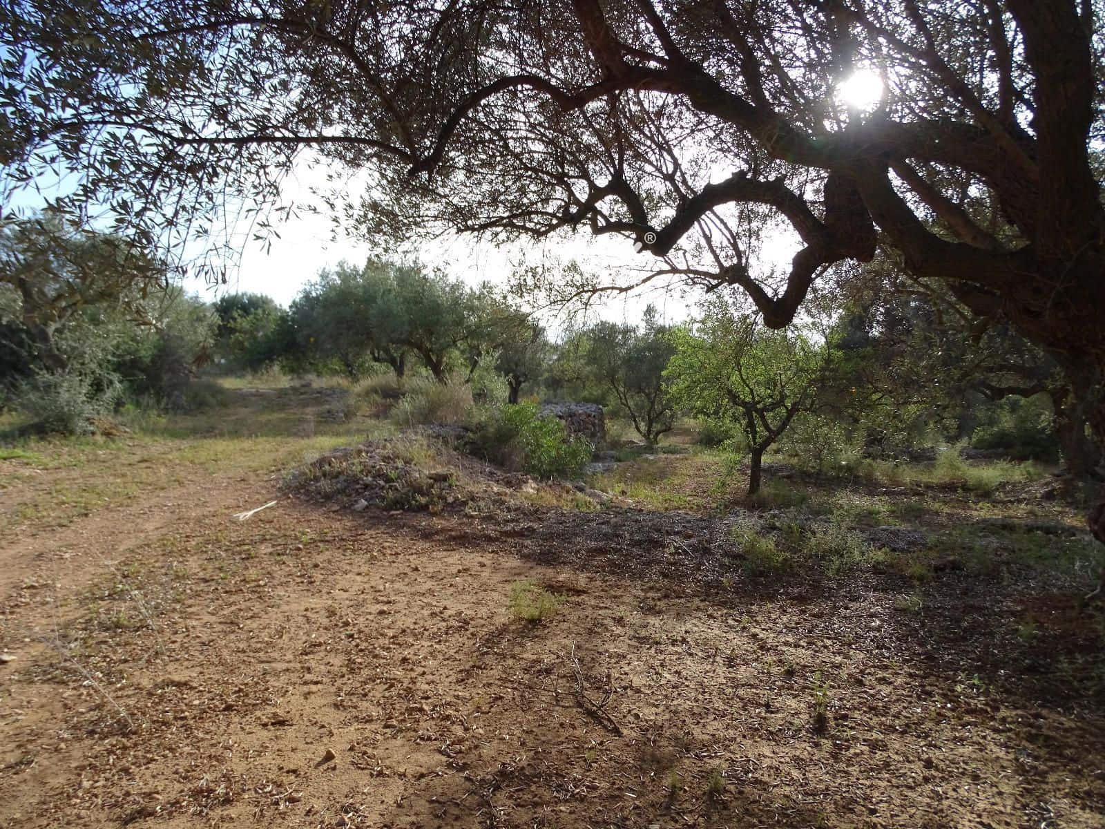 Grunde uden byggetilladelser til salg i Tivenys - € 42.000 (Ref: 8448950)