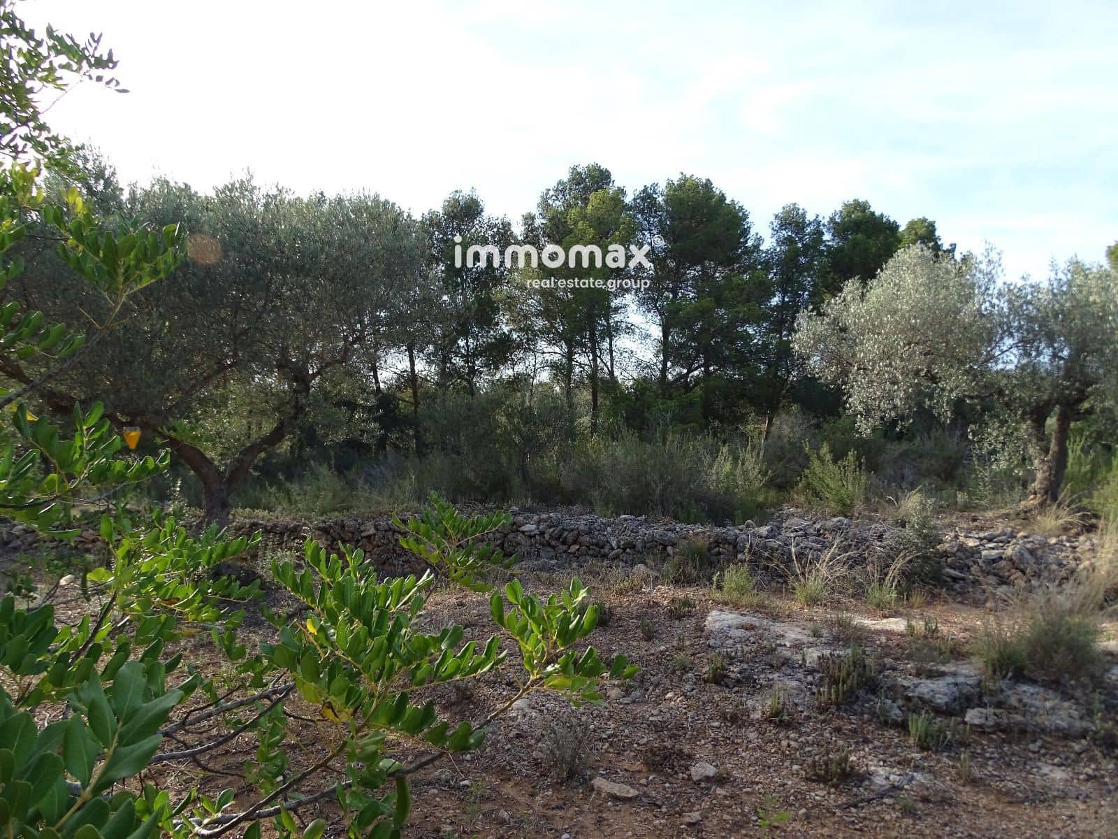 Grunde uden byggetilladelser til salg i Tivenys - € 42.000 (Ref: 8448950)