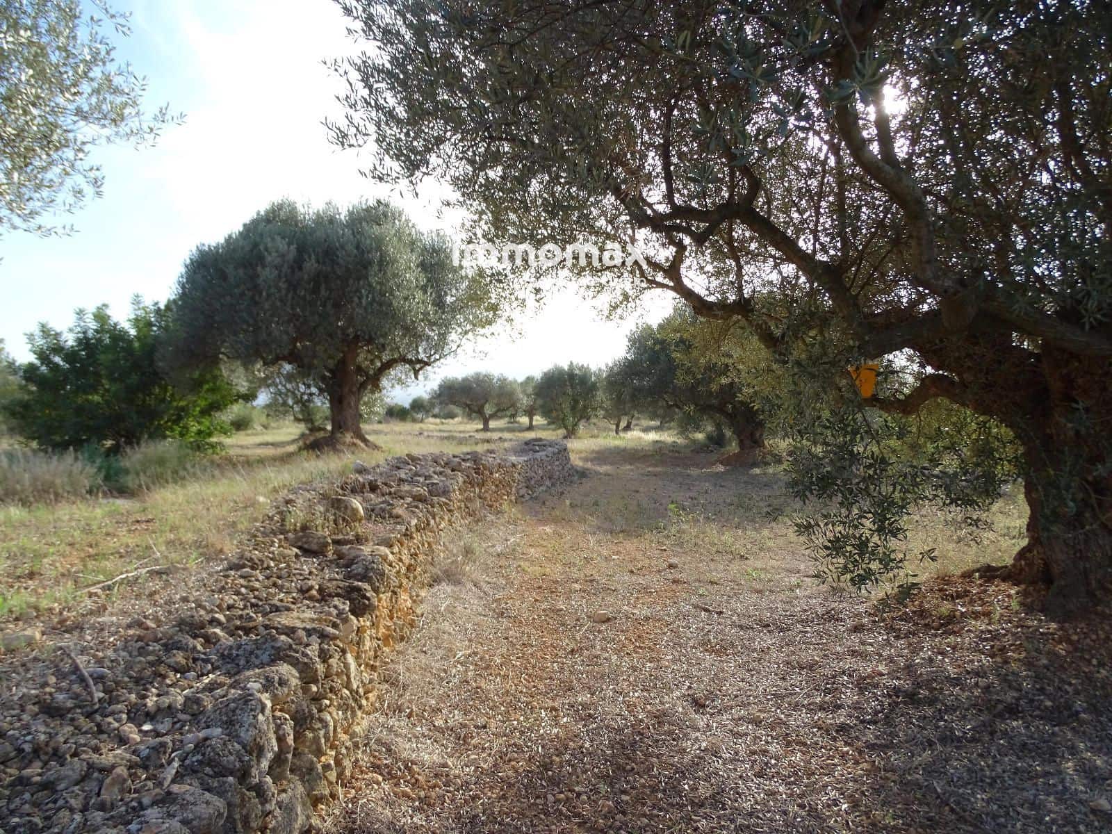 Grunde uden byggetilladelser til salg i Tivenys - € 42.000 (Ref: 8448950)