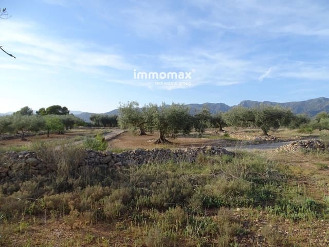 Undeveloped Land for sale in Tortosa - € 18,000 (Ref: 8486750)