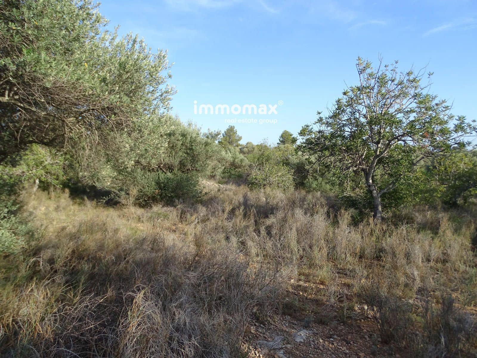 Grunde uden byggetilladelser til salg i Tortosa - € 18.000 (Ref: 8486750)