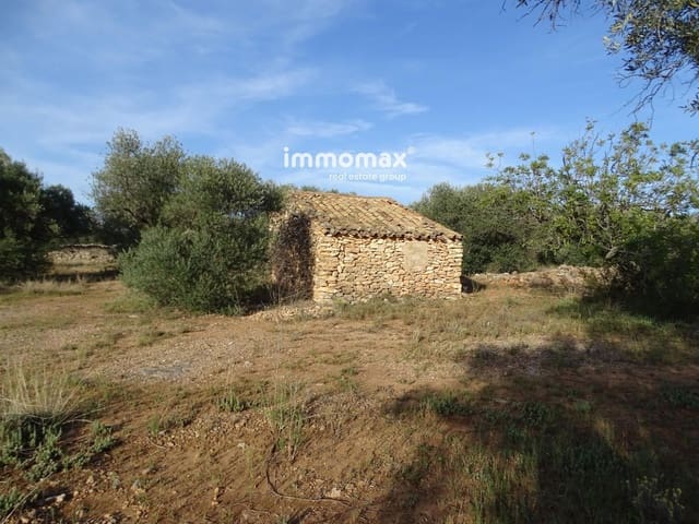 Undeveloped Land for sale in Tortosa - € 18,000 (Ref: 8486750)