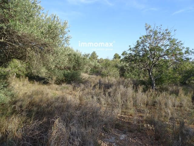 Undeveloped Land for sale in Tortosa - € 18,000 (Ref: 8486750)