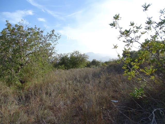 Undeveloped Land for sale in Tortosa - € 18,000 (Ref: 8486750)