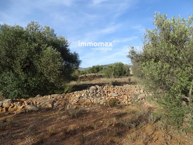 Undeveloped Land for sale in Tortosa - € 18,000 (Ref: 8486750)