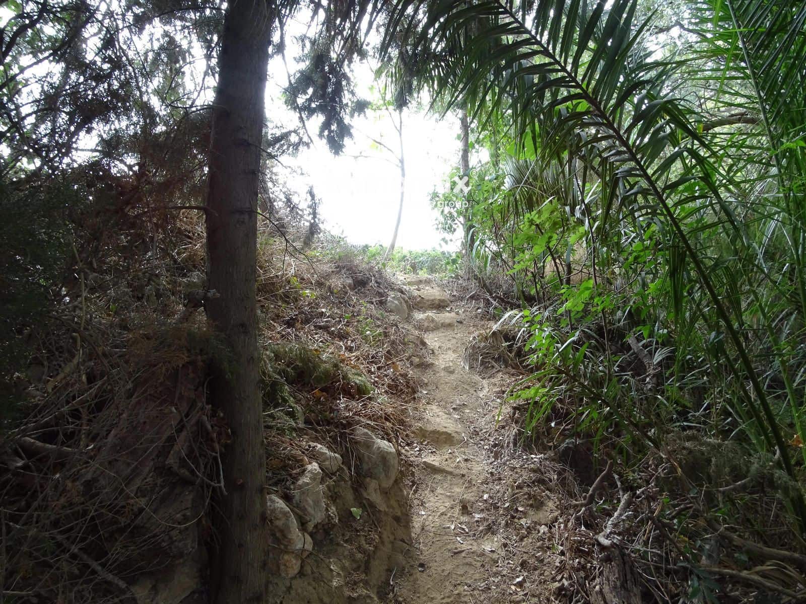 Grunde uden byggetilladelser til salg i Bitem - € 110.000 (Ref: 8489446)