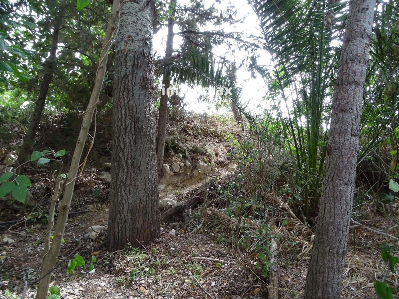 Grunde uden byggetilladelser til salg i Bitem - € 110.000 (Ref: 8489446)