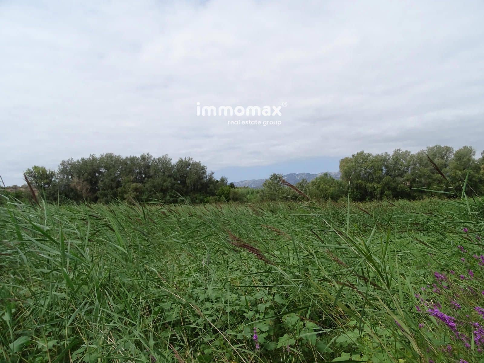 Grunde uden byggetilladelser til salg i Bitem - € 110.000 (Ref: 8489446)