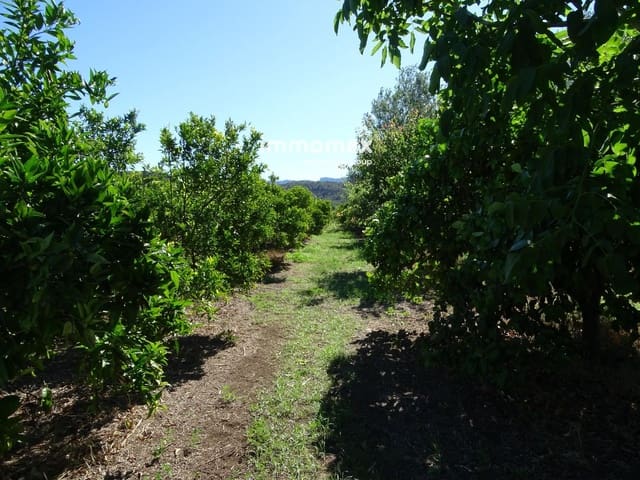 Undeveloped Land for sale in Bitem, Tortosa - € 110,000 (Ref: 8489446)