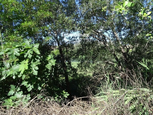 Undeveloped Land for sale in Bitem, Tortosa - € 110,000 (Ref: 8489446)