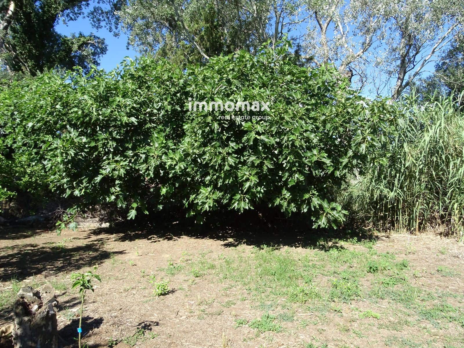 Grunde uden byggetilladelser til salg i Bitem - € 110.000 (Ref: 8489446)