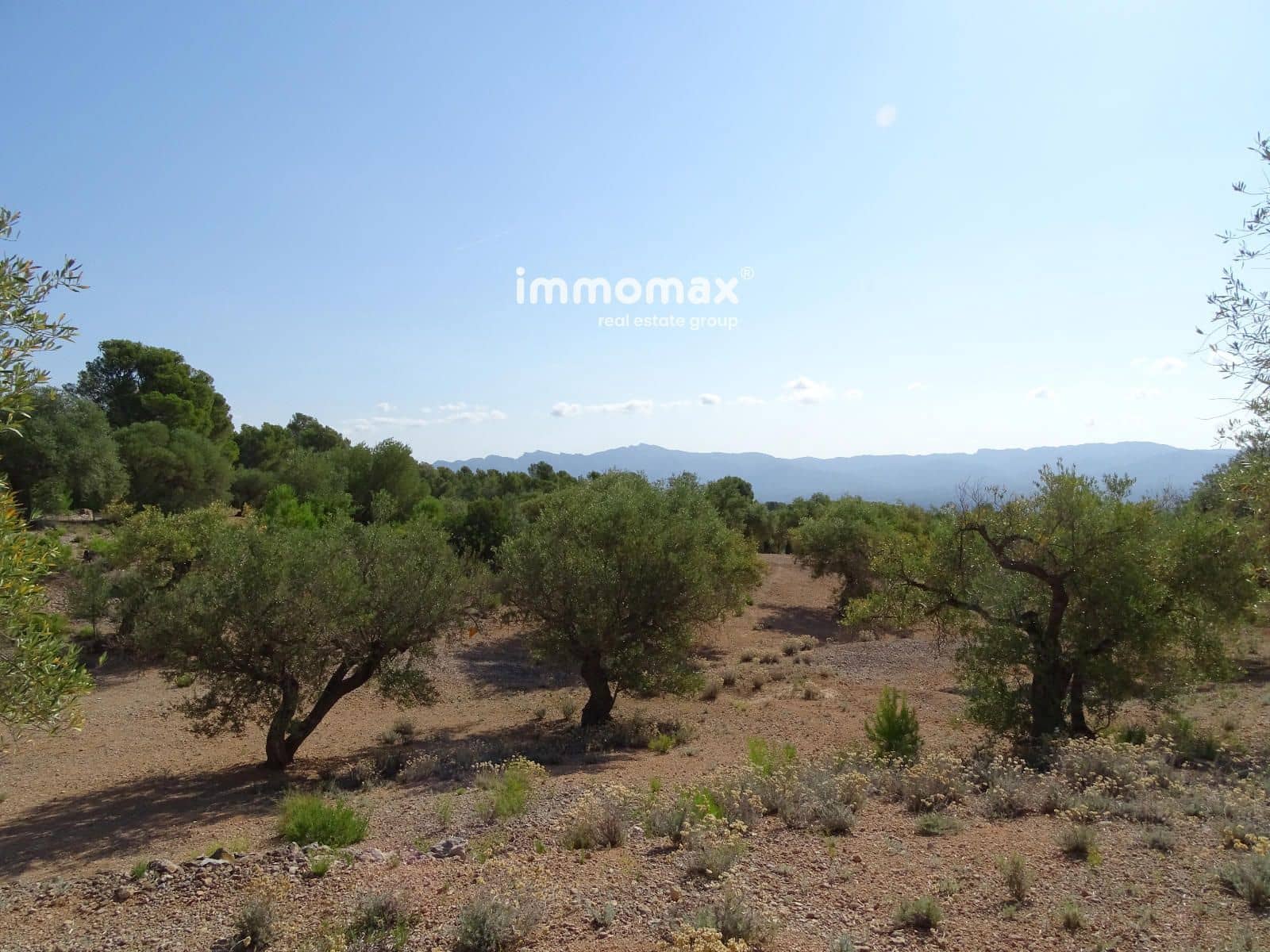 Grunde uden byggetilladelser til salg i Xerta - € 36.000 (Ref: 8504776)