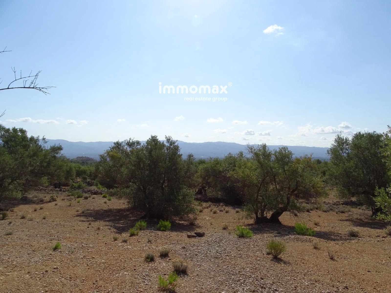 Grunde uden byggetilladelser til salg i Xerta - € 36.000 (Ref: 8504776)