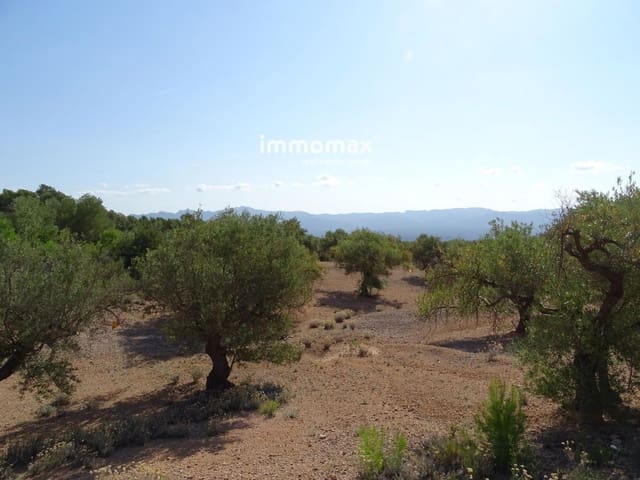 Undeveloped Land for sale in Xerta - € 36,000 (Ref: 8504776)