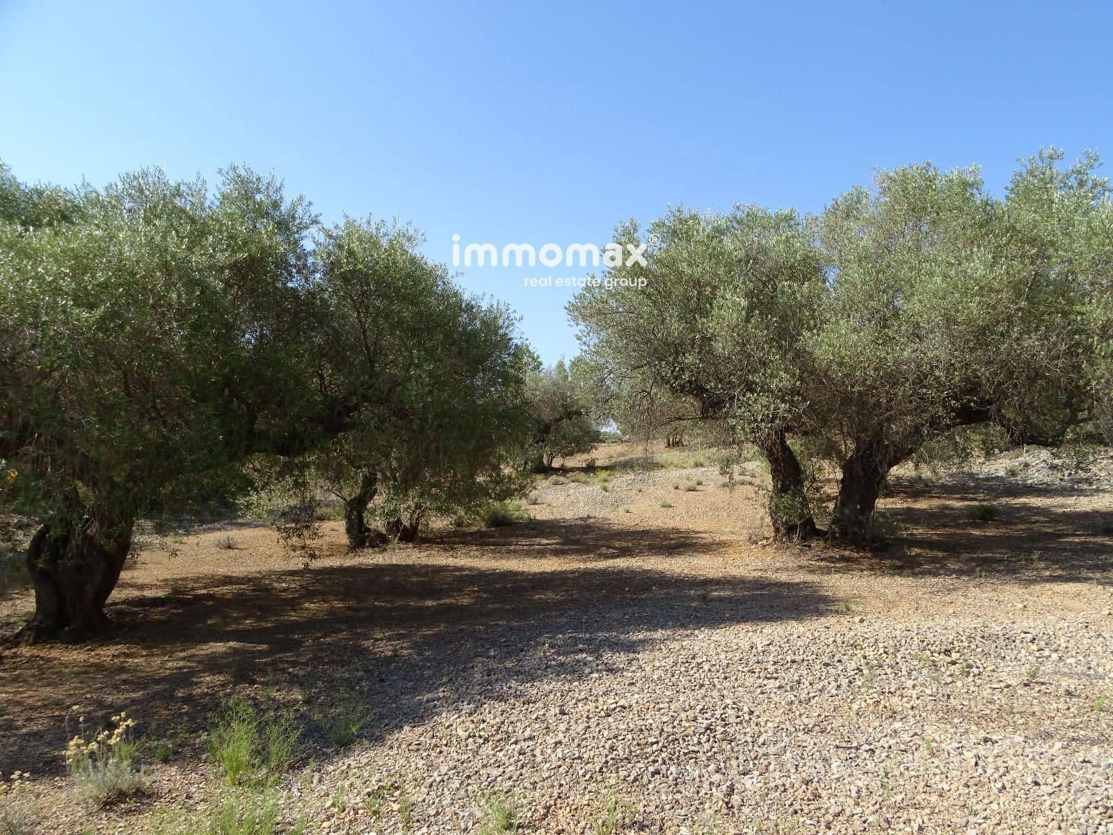 Grunde uden byggetilladelser til salg i Xerta - € 36.000 (Ref: 8504776)