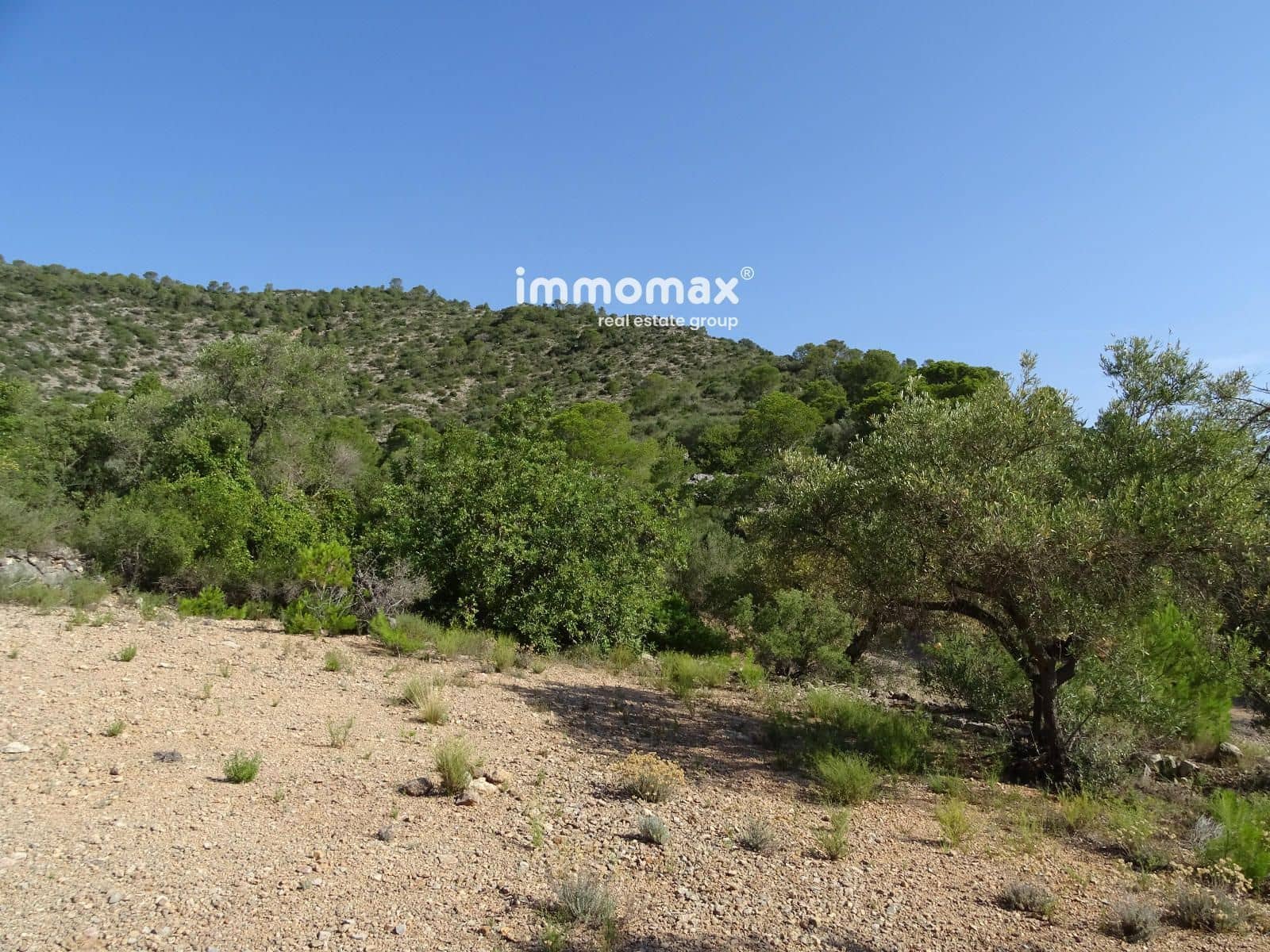 Grunde uden byggetilladelser til salg i Xerta - € 36.000 (Ref: 8504776)