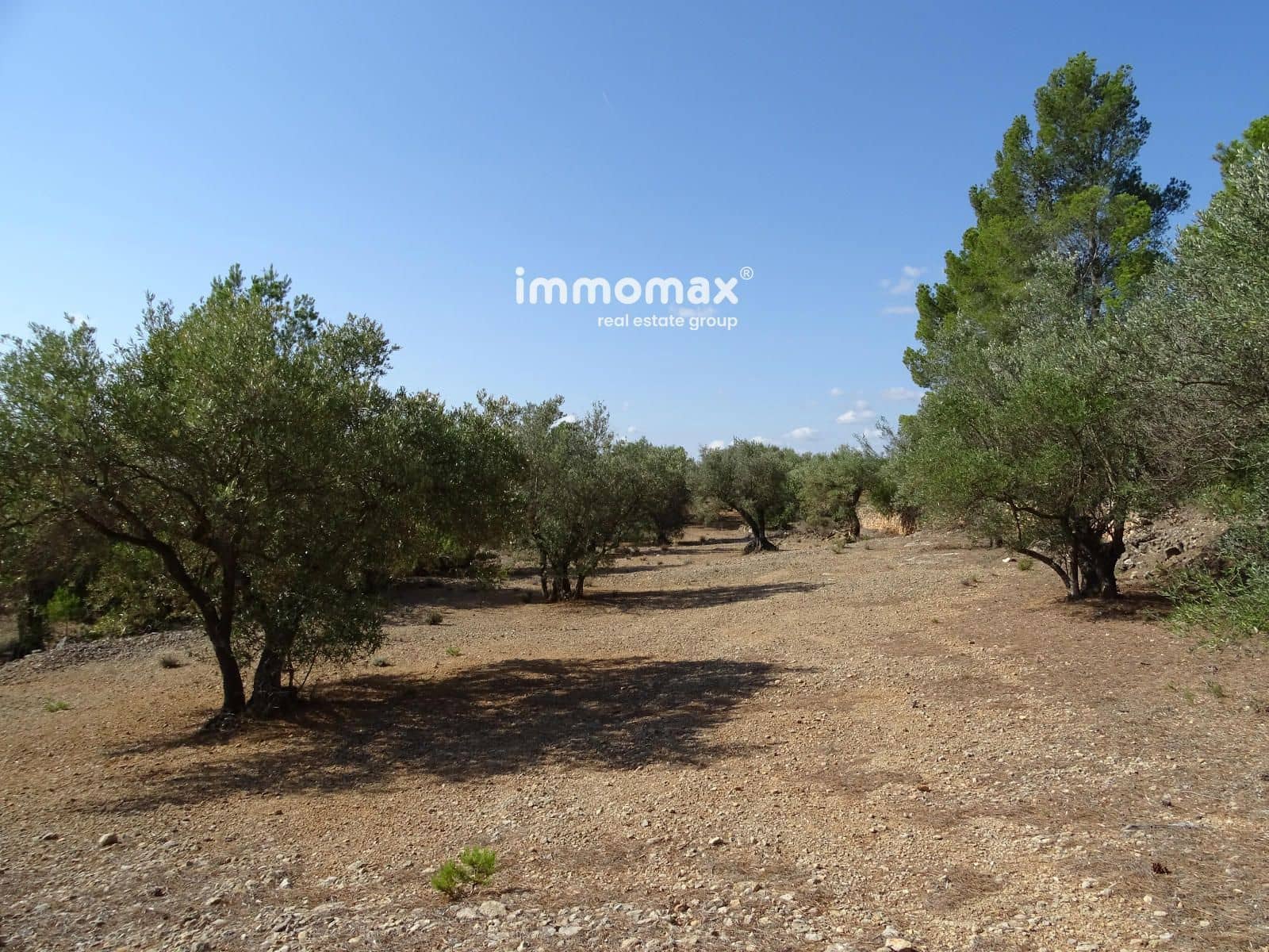 Grunde uden byggetilladelser til salg i Xerta - € 36.000 (Ref: 8504776)