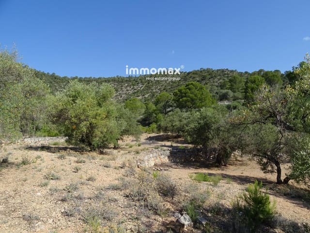 Undeveloped Land for sale in Xerta - € 36,000 (Ref: 8504776)