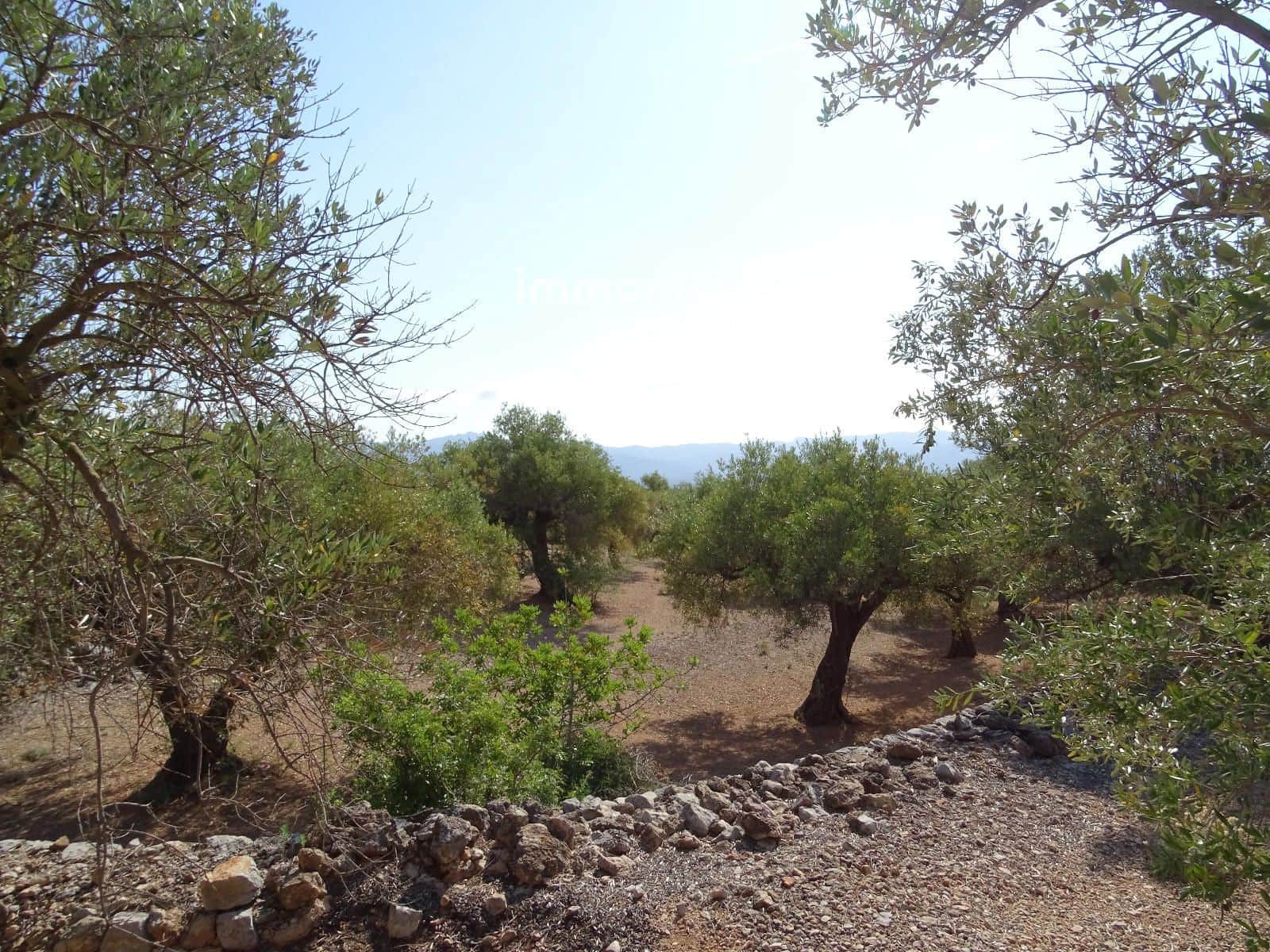 Grunde uden byggetilladelser til salg i Xerta - € 36.000 (Ref: 8504776)