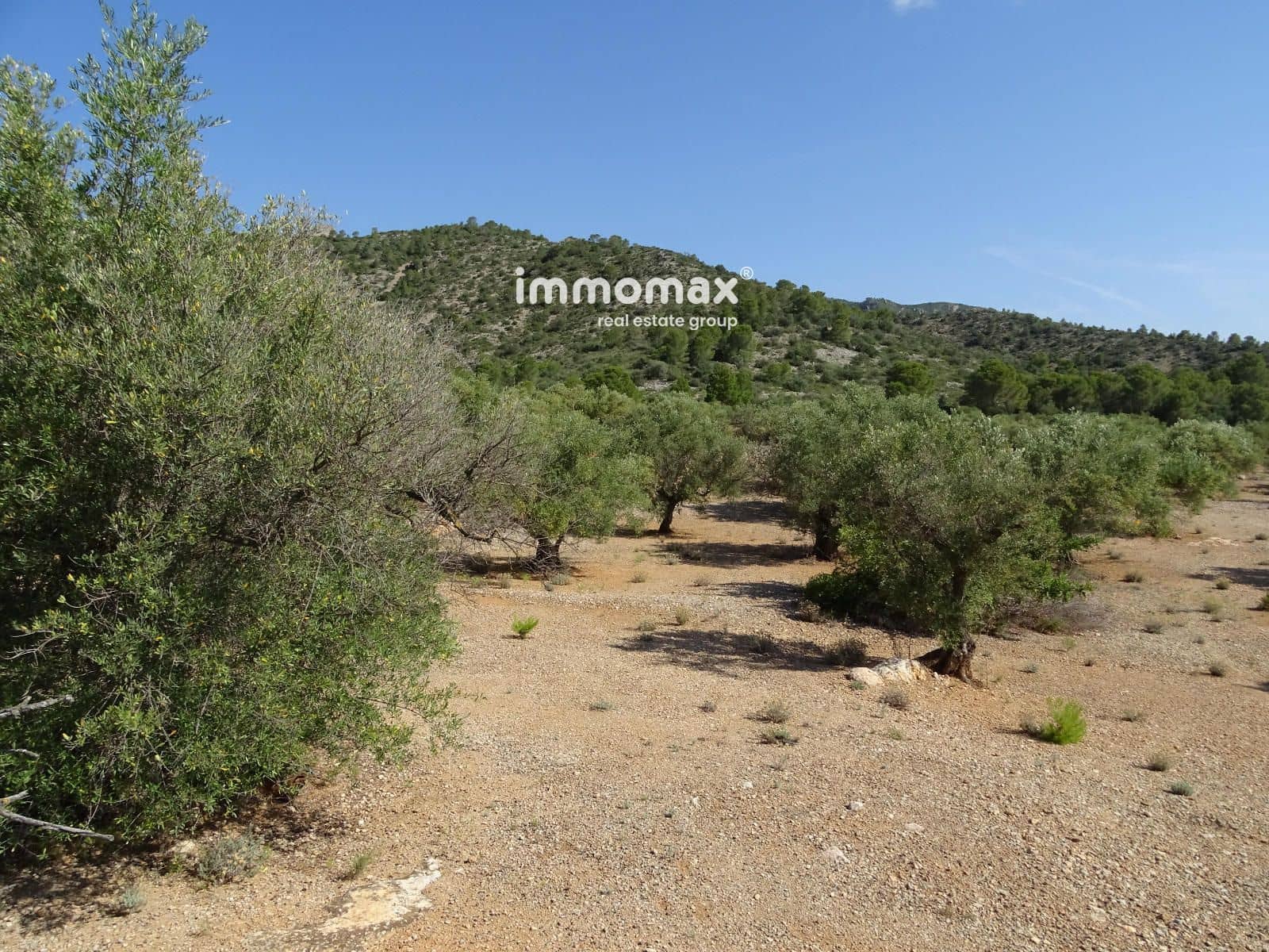 Grunde uden byggetilladelser til salg i Xerta - € 36.000 (Ref: 8504776)