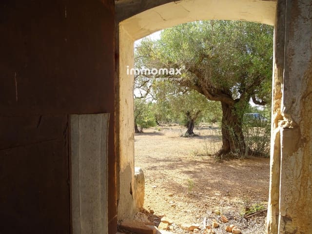 Undeveloped Land for sale in Xerta - € 36,000 (Ref: 8504776)